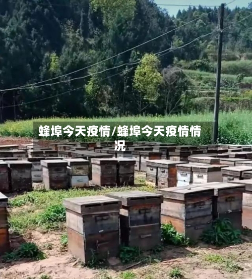 蜂埠今天疫情/蜂埠今天疫情情况