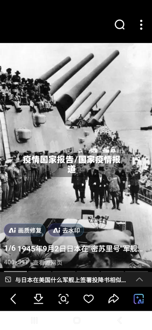 疫情国家报告/国家疫情报道