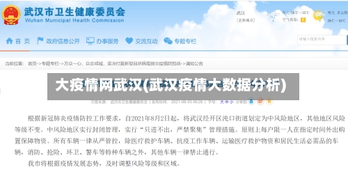 大疫情网武汉(武汉疫情大数据分析)