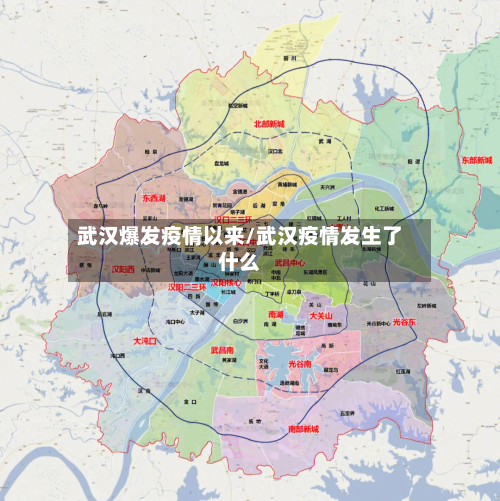 武汉爆发疫情以来/武汉疫情发生了什么-第2张图片