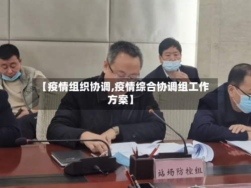 【疫情组织协调,疫情综合协调组工作方案】-第2张图片