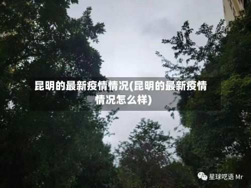 昆明的最新疫情情况(昆明的最新疫情情况怎么样)-第2张图片