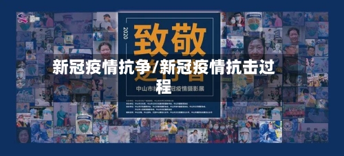 新冠疫情抗争/新冠疫情抗击过程