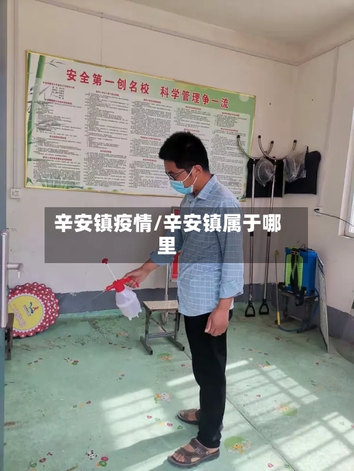 辛安镇疫情/辛安镇属于哪里