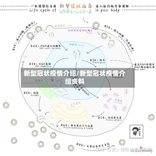 新型冠状疫情介绍/新型冠状疫情介绍资料-第2张图片