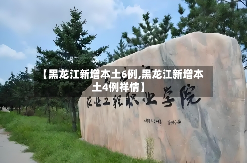 【黑龙江新增本土6例,黑龙江新增本土4例祥情】