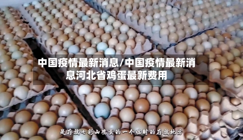 中国疫情最新消息/中国疫情最新消息河北省鸡蛋最新费用