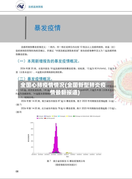全国心肺疫情情况(全国新型肺炎疫情最新报道)
