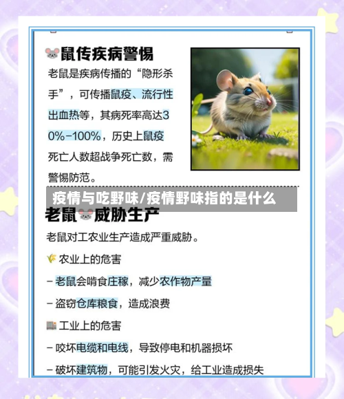 疫情与吃野味/疫情野味指的是什么-第2张图片