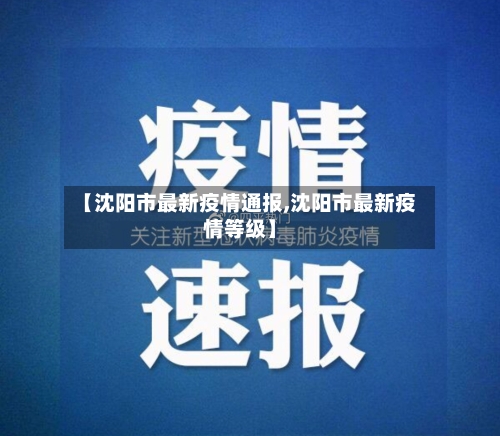 【沈阳市最新疫情通报,沈阳市最新疫情等级】-第2张图片
