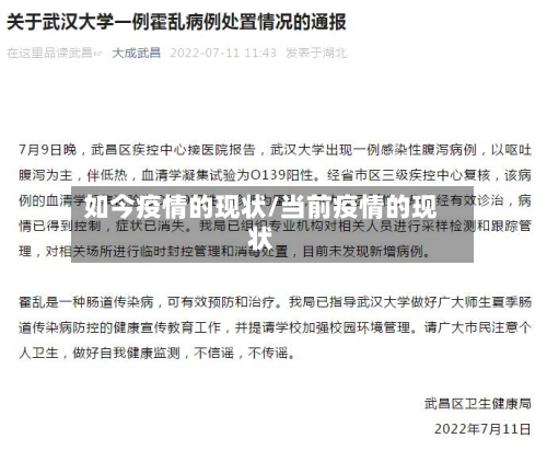 如今疫情的现状/当前疫情的现状-第2张图片