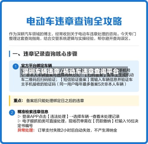 深圳车辆违章/机动车违章查询平台
