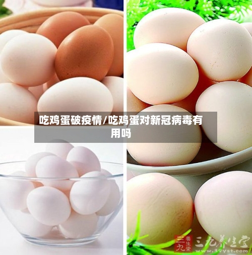 吃鸡蛋破疫情/吃鸡蛋对新冠病毒有用吗-第2张图片