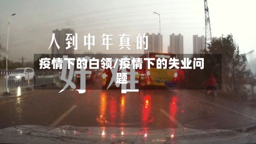 疫情下的白领/疫情下的失业问题