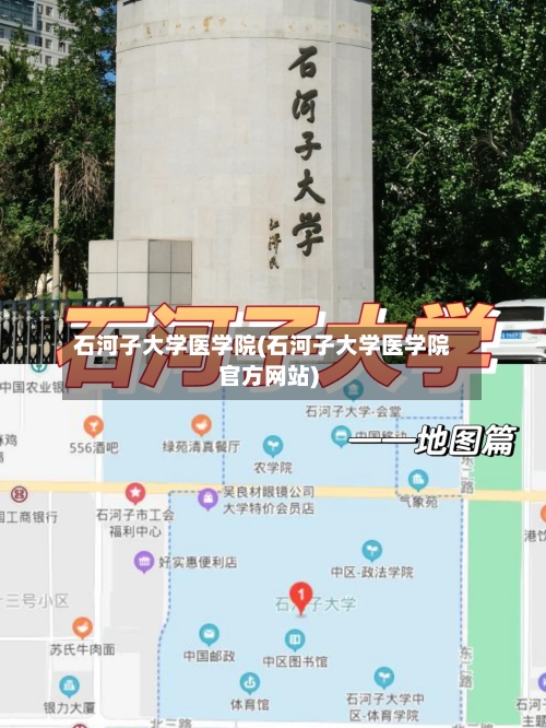 石河子大学医学院(石河子大学医学院官方网站)-第3张图片