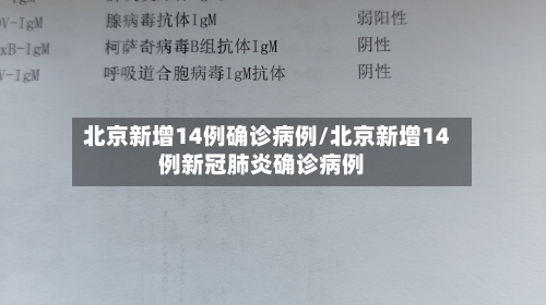 北京新增14例确诊病例/北京新增14例新冠肺炎确诊病例-第3张图片