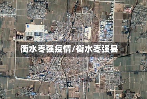 衡水枣强疫情/衡水枣强县-第2张图片