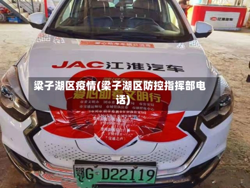 粱子湖区疫情(梁子湖区防控指挥部电话)-第3张图片