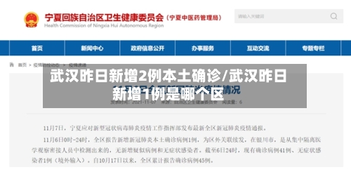 武汉昨日新增2例本土确诊/武汉昨日新增1例是哪个区-第3张图片