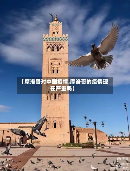 【摩洛哥对中国疫情,摩洛哥的疫情现在严重吗】-第2张图片