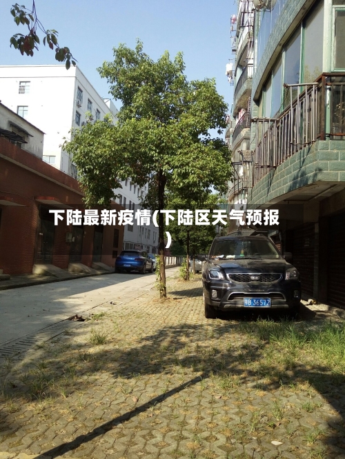 下陆最新疫情(下陆区天气预报)