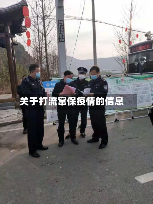 关于打流窜保疫情的信息