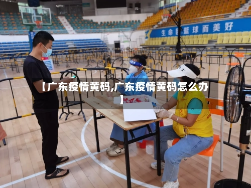 【广东疫情黄码,广东疫情黄码怎么办】