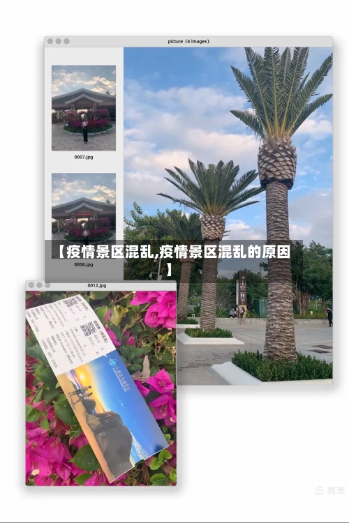 【疫情景区混乱,疫情景区混乱的原因】-第2张图片