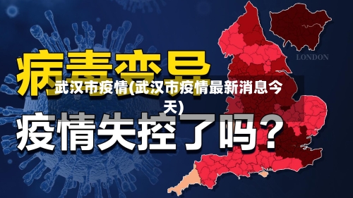 武汉市疫情(武汉市疫情最新消息今天)-第1张图片