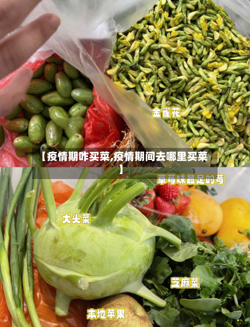 【疫情期咋买菜,疫情期间去哪里买菜】-第2张图片