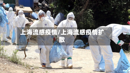 上海流感疫情/上海流感疫情扩散