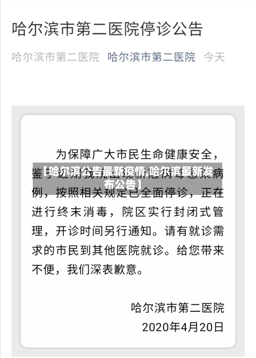 【哈尔滨公告最新疫情,哈尔滨最新发布公告】-第3张图片