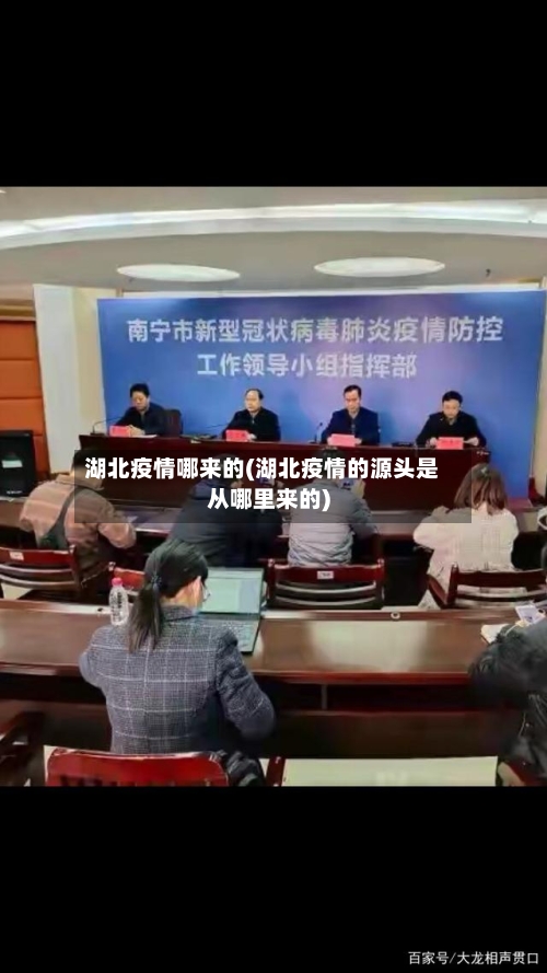 湖北疫情哪来的(湖北疫情的源头是从哪里来的)