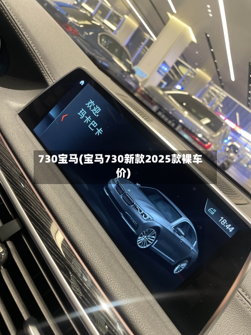 730宝马(宝马730新款2025款裸车价)-第2张图片
