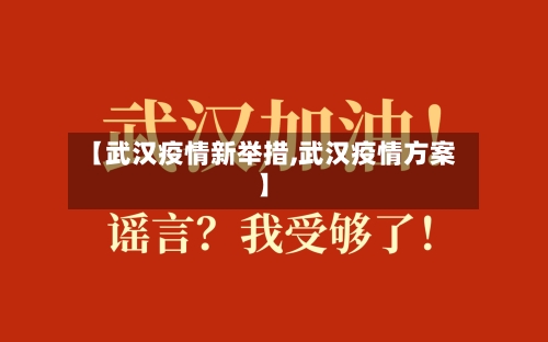 【武汉疫情新举措,武汉疫情方案】