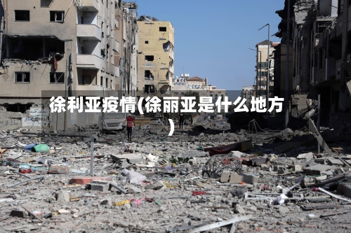 徐利亚疫情(徐丽亚是什么地方)-第3张图片