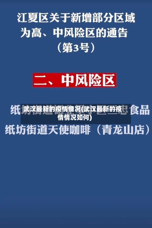 武汉最新的疫情情况(武汉最新的疫情情况如何)-第2张图片