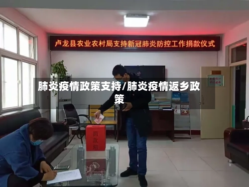 肺炎疫情政策支持/肺炎疫情返乡政策