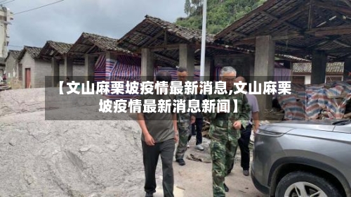 【文山麻栗坡疫情最新消息,文山麻栗坡疫情最新消息新闻】-第2张图片