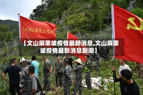 【文山麻栗坡疫情最新消息,文山麻栗坡疫情最新消息新闻】-第3张图片