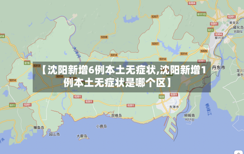 【沈阳新增6例本土无症状,沈阳新增1例本土无症状是哪个区】