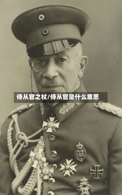 侍从官之杖/侍从官是什么意思-第3张图片