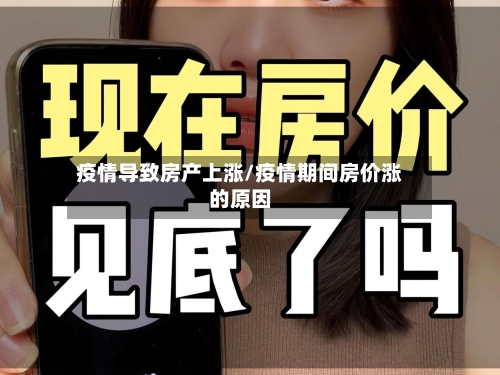 疫情导致房产上涨/疫情期间房价涨的原因