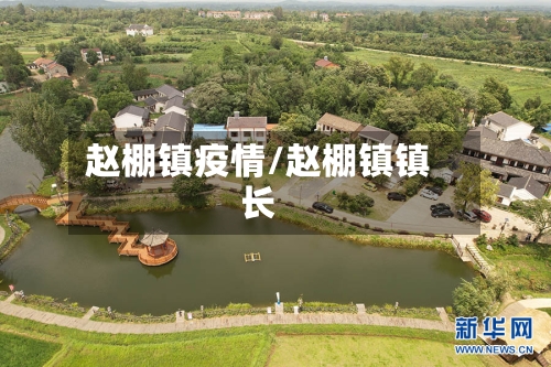 赵棚镇疫情/赵棚镇镇长