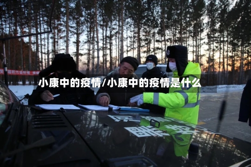 小康中的疫情/小康中的疫情是什么