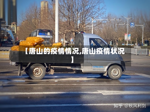 【唐山的疫情情况,唐山疫情状况】