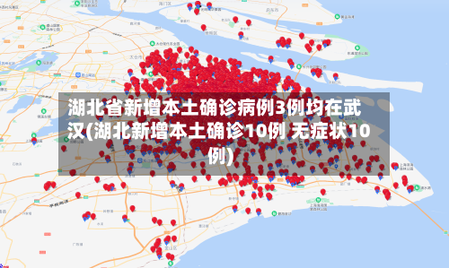 湖北省新增本土确诊病例3例均在武汉(湖北新增本土确诊10例 无症状10例)-第3张图片
