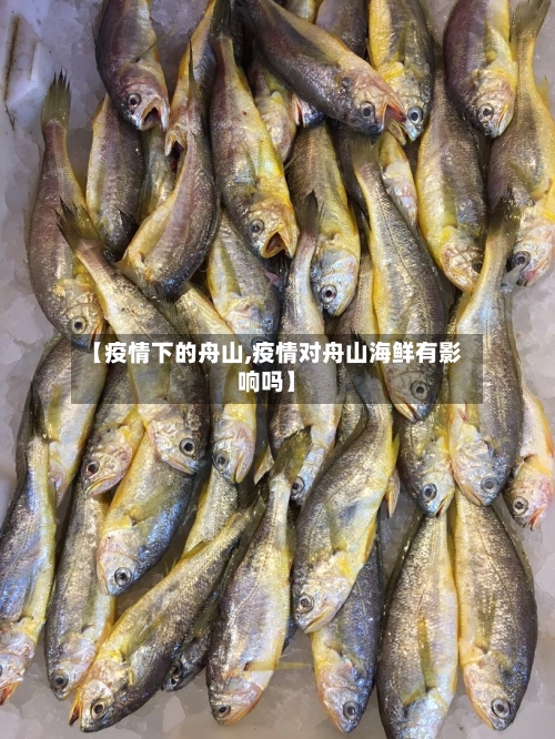 【疫情下的舟山,疫情对舟山海鲜有影响吗】-第2张图片