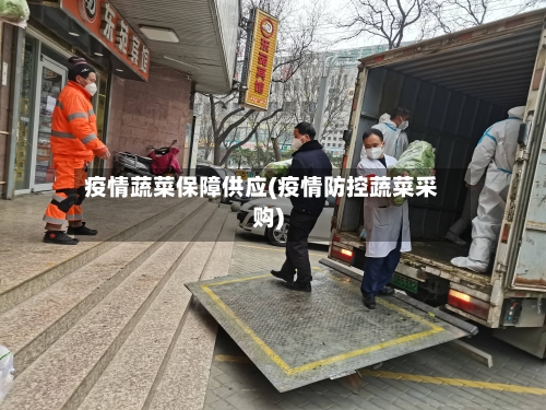 疫情蔬菜保障供应(疫情防控蔬菜采购)-第2张图片