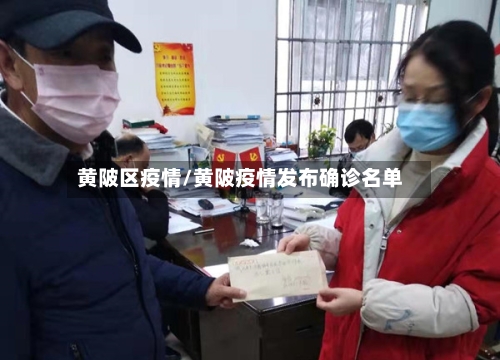 黄陂区疫情/黄陂疫情发布确诊名单-第2张图片